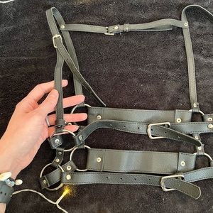 Harness
